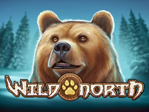 Wild North game cover